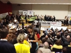  Representantes da DS/POA integram grande manifestação em Brasília