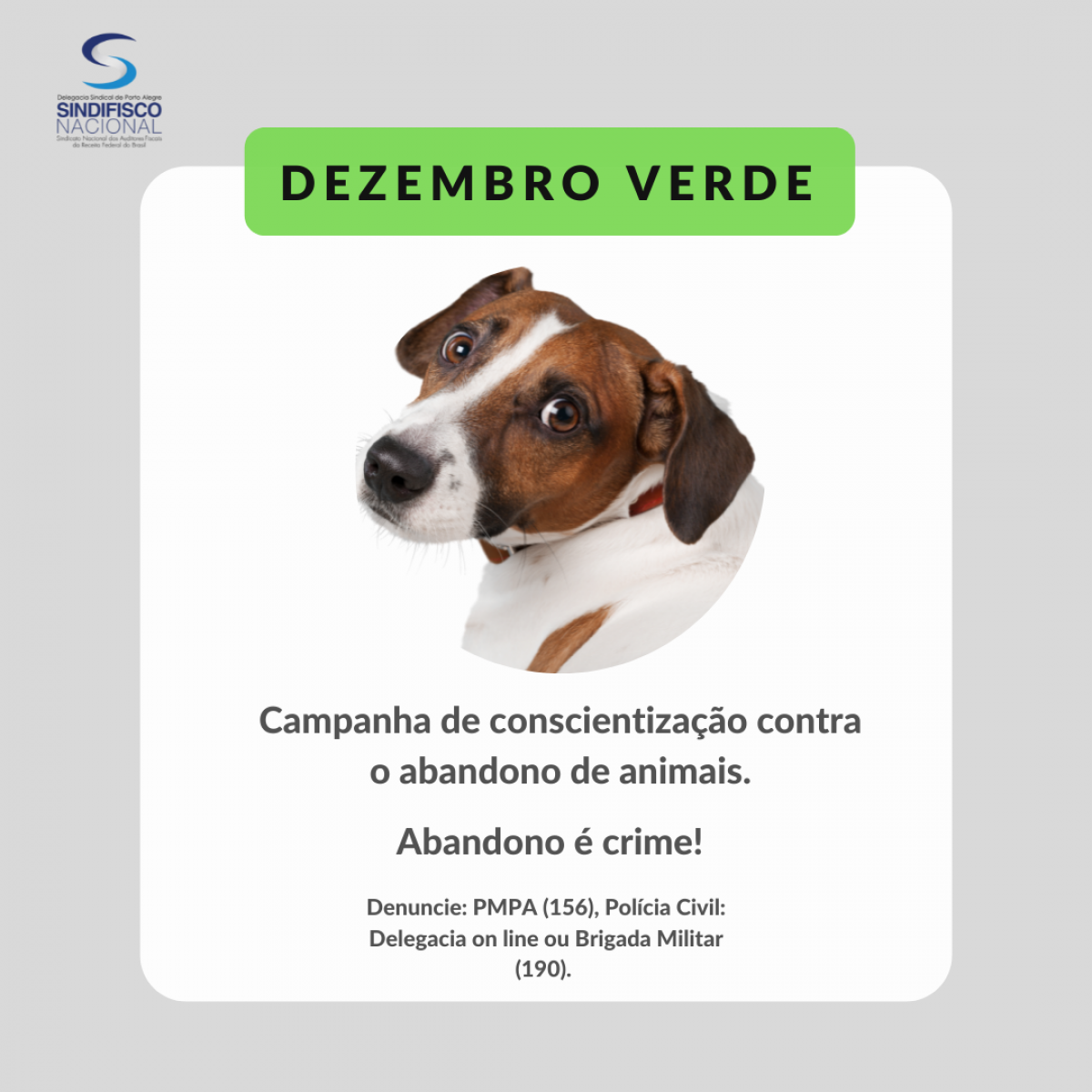 Dezembro Verde